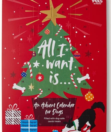 Creature comforts (and joy): why Santa is packing more presents for pets this Christmas