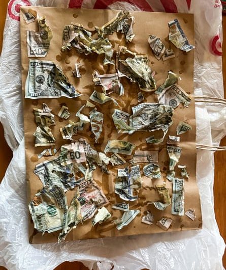 ‘It smelled so bad’: Pennsylvania couple recovers $3,550 after dog eats cash